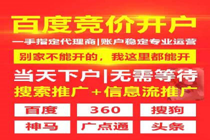 百度竞价包年推广策略——某行业巨头的成功经验