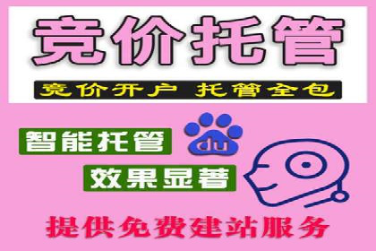 某行业巨头如何利用百度推广服务费提升业绩